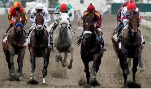 betting on horse races