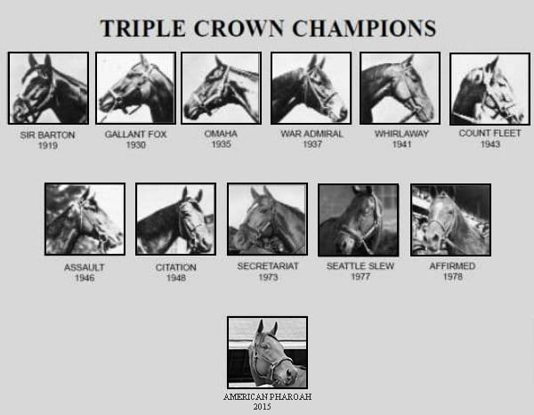 13 triple crown horses