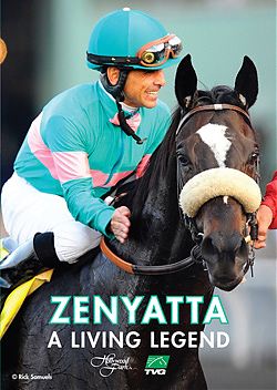 Zenyatta Racehorse