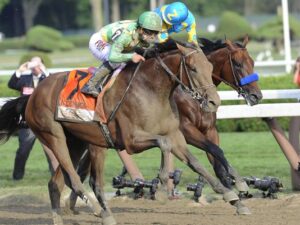 horse-race