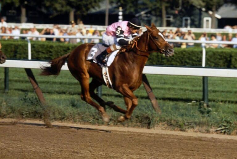 Affirmed