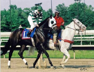 Dynaformer Racehorse