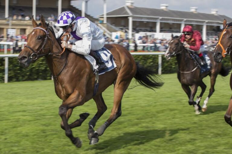 Horses showing different early positions in a race