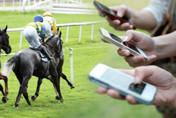 How You Can Top Betting App In India Almost Instantly
