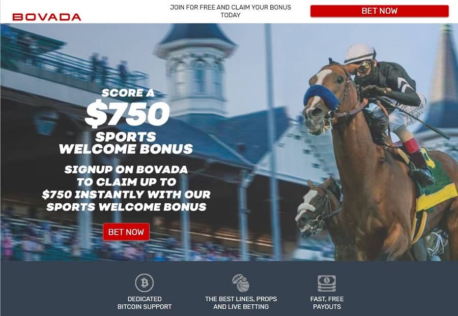 Online horse betting in arizona stack crypto