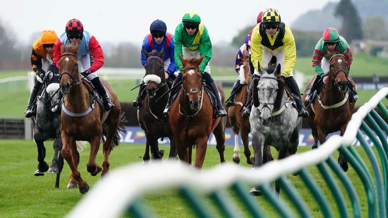 Thoroughbred racehorses and jockeys racing on turf